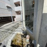 LINE_ALBUM_2023.212赤嶺、齋藤邸_230228_4