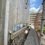 LINE_ALBUM_2023.212赤嶺、齋藤邸_230228_7